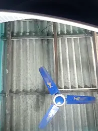 hotbaby_5 stripchat stream image, 11.11.2025 15:00