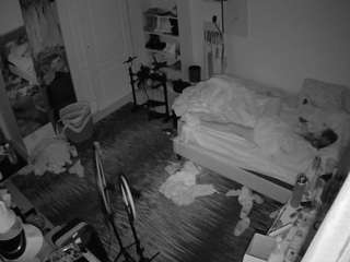 voyeurcam-hornyhostel-02 camsoda stream image, 13.11.2025 22:10