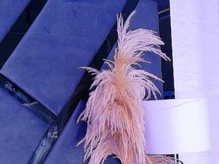 Kylie Whitee flirt4free stream image