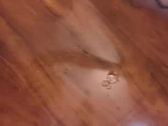 im_jessica_cherry chaturbate stream image