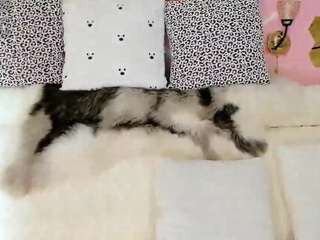 maryelle camsoda stream image, 10.01.2026 21:40