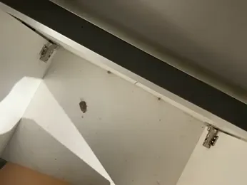 trash4cash stripchat stream image, 28.01.2026 15:40