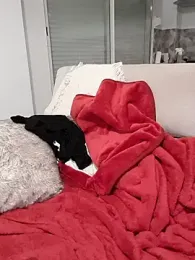 bailey_mcvicar stripchat stream image