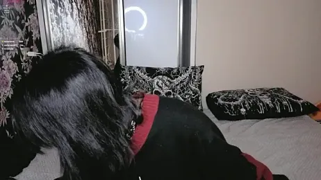 GraypacLive stripchat stream image