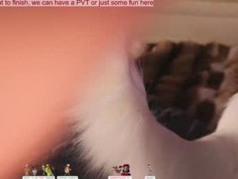 lissa_meooow chaturbate stream image, 11.02.2026 06:20