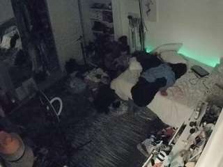 voyeurcam-hornyhostel-02 camsoda stream image, 12.02.2026 10:20