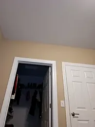 AmethystFoxx stripchat stream image