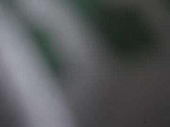 mariannacruzz chaturbate stream image, 05.03.2025 14:10