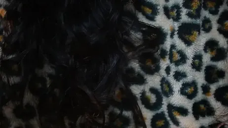 -AyeshaSinghania- stripchat stream image