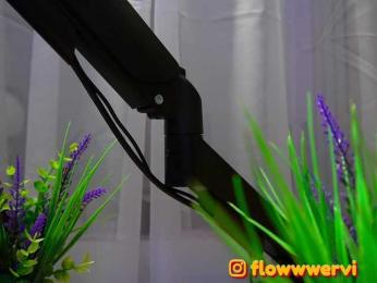 FlowwwerGirl bongacams stream image