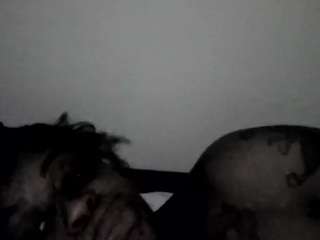 stalliontheesavage camsoda stream image