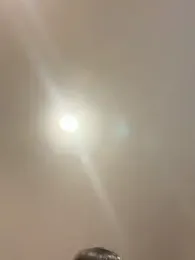 IroManager stripchat stream image, 20.03.2026 12:00