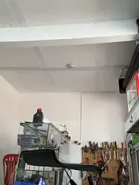 Paul22cm- stripchat stream image