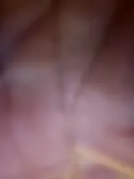 Roddog18 stripchat stream image