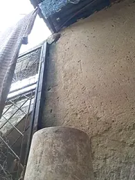 Petrossa stripchat stream image