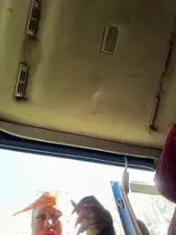 krysstal003 stripchat stream image, 05.04.2026 10:40