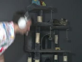 sydaffect chaturbate stream image