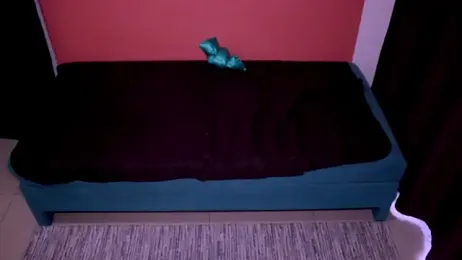 Mia_Couple stripchat stream image, 08.04.2026 15:00