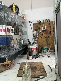 Paul22cm- stripchat stream image