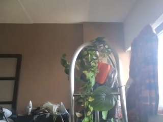 stalliontheesavage camsoda stream image