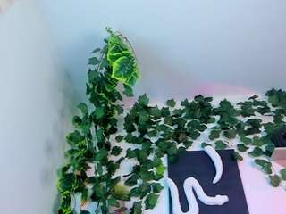 nataliepeterson camsoda stream image, 30.04.2025 20:20